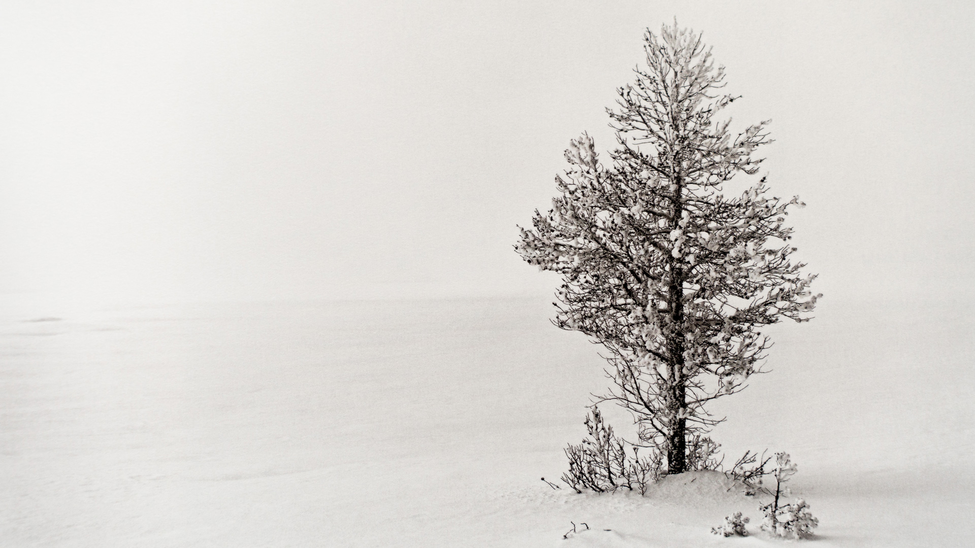 The Art of Photography